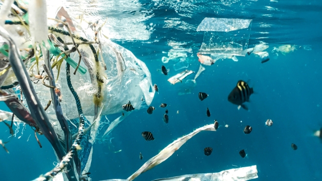 Adidas und "Parley for the Ocean" beenden Partnerschaft - Zehn Jahre dauerte die Kooperation an, durch die Adidas Produkte aus Parley-Ozeanplastik herstellte - Quelle: Symbolbild / Unsplash.com